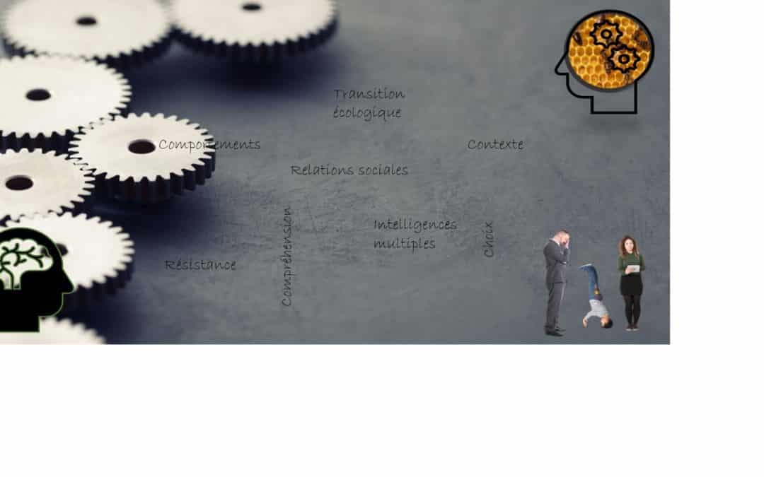 Webinaire – “les changements de comportement avec la psychologie sociale” – 28.05.2020 à 13h30