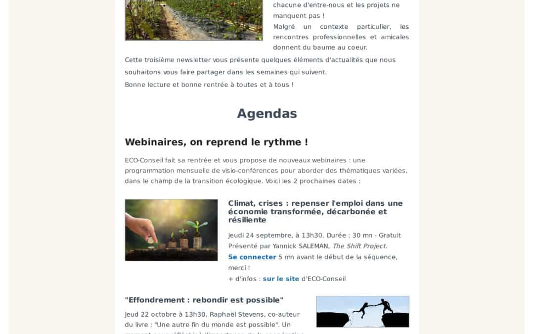 3° newsletter d’ECO-Conseil