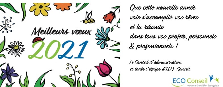 Carte-voeux_2021_ECO-Conseil Meilleurs voeux 2021