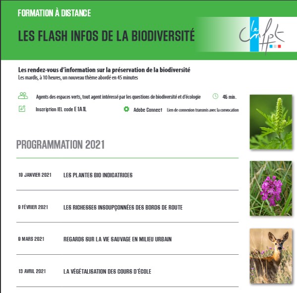 Flash-info Biodiversité