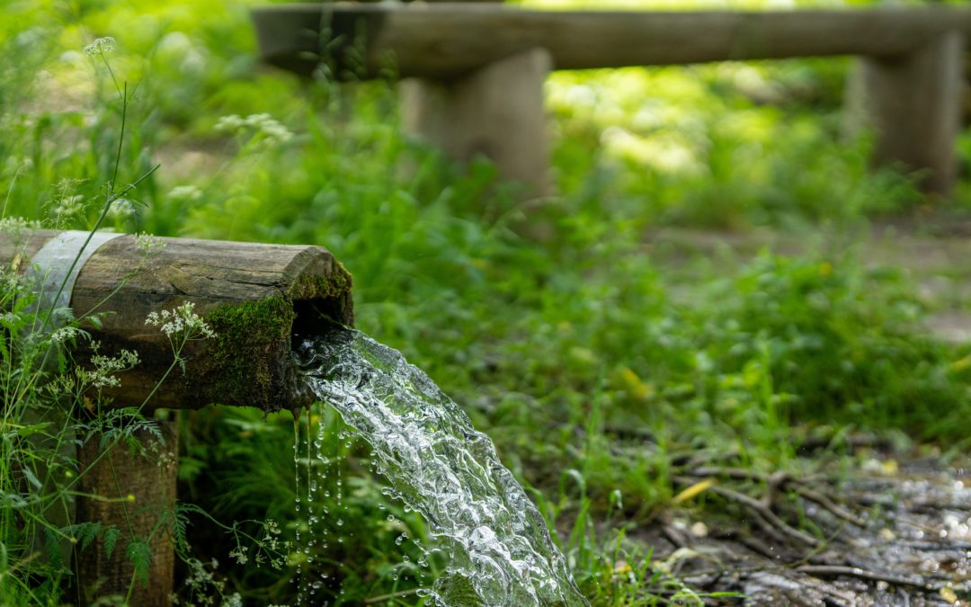 Du droit à l’eau au droit de l’eau : quel statut pour cette ressource essentielle ?