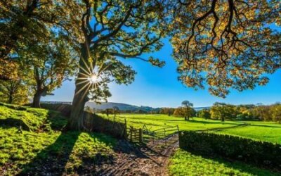 6° mot de la promo | Nourrir le monde et préserver la planète