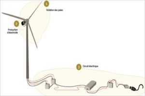 Circuit électrique de l'éolienne