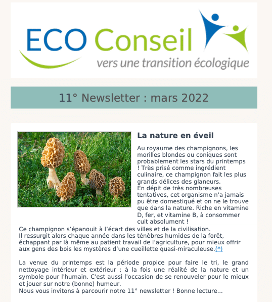 11ème newsletter d'ECO-Conseil