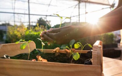 9° mot de la promo : agriculture urbaine, de la recherche d’une autonomie alimentaire à la création de lien social
