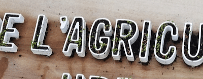 Atelier semis & repiquage 2025