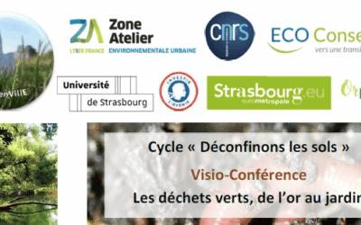 SolEnVillE|Visio-conférence : les déchets verts, de l’or au jardin – Mardi 12 avril 18h
