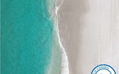 Semaine de regroupement