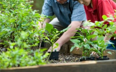 Guide : Créer & animer le jardin pédagogique de son école