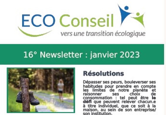 Bandeau-newslettre16 d'ECO-Conseil