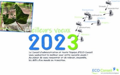 Meilleurs vœux 2023