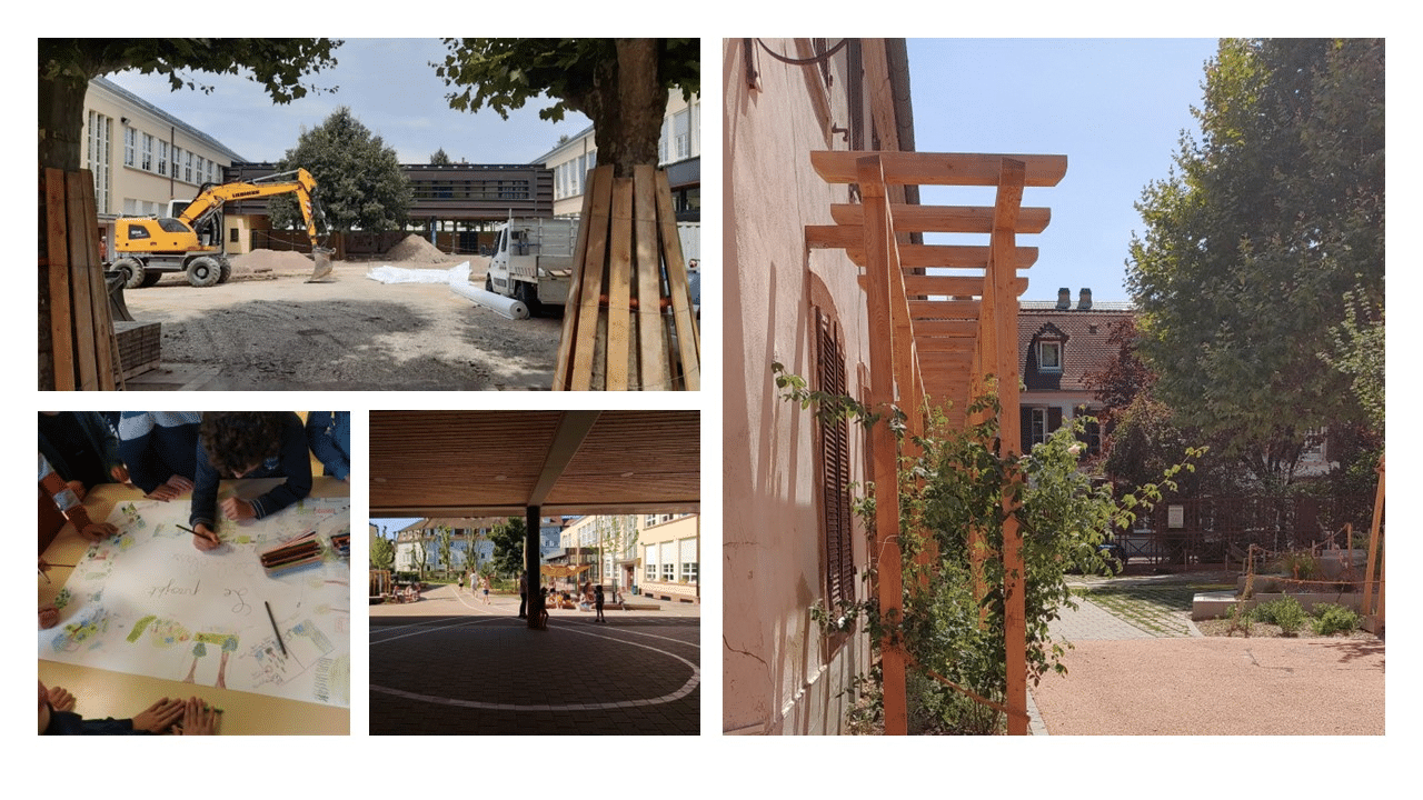 Visite de cours Musau Strasbourg