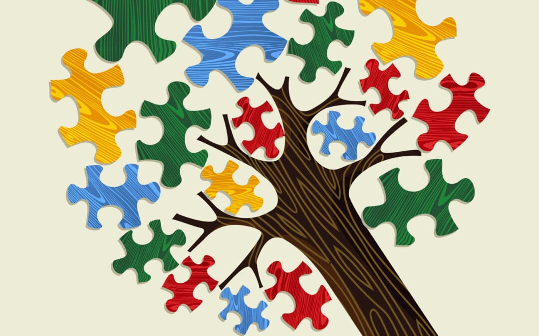 Deux nouvelles recrues au sein de l&rsquo;équipe ECO-Conseil