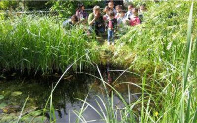 Joanne SIMON – Un accompagnement pour mettre en place « l&rsquo;école du dehors »