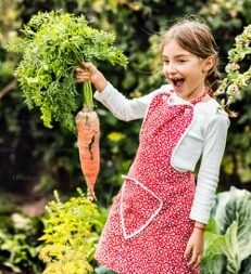 l'année en jardinage toute l'année