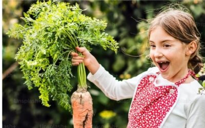 Le calendrier du jardin en un coup d’œil !