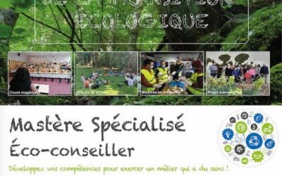 Soirée découverte de la formation du Mastère Spécialisé® Éco-conseiller