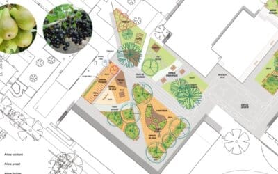 Retour d&rsquo;expérience d&rsquo;un directeur d&rsquo;école de Strasbourg sur la végétalisation de la cour