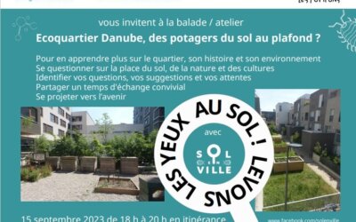 Ecoquartier Danube, des potagers du sol au plafond ?