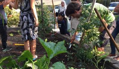 Les vertus du jardinage avec les enfants : le témoignage de Simon Le Mellec