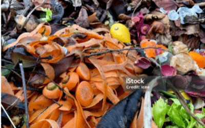 5° mot de la promo | Les biodéchets : une ressource en or !