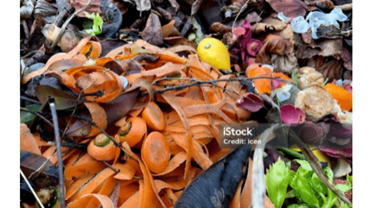 Biodéchets et ressources