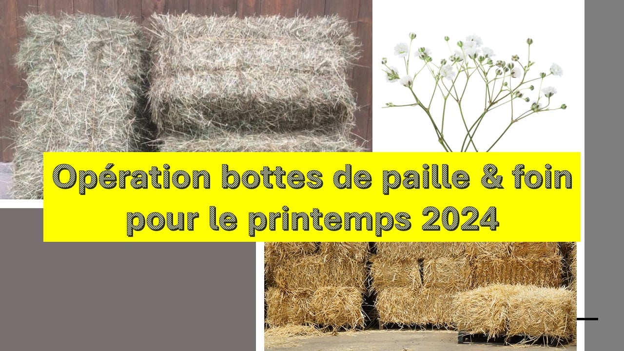 Mutualisation d'achat de bottes de paille et foin