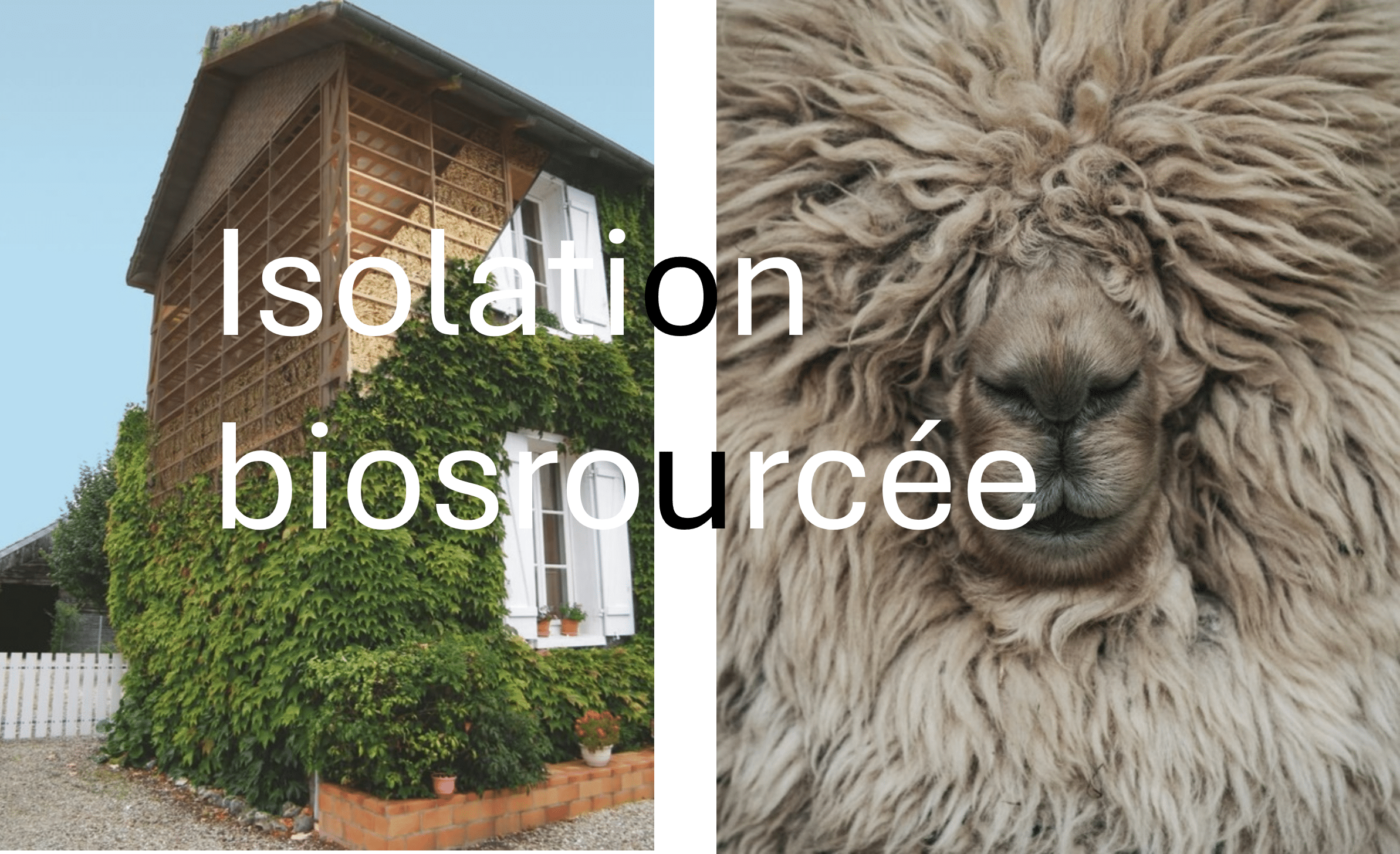 Isolation biosourcée-image