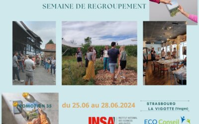 Semaine de regroupement P35