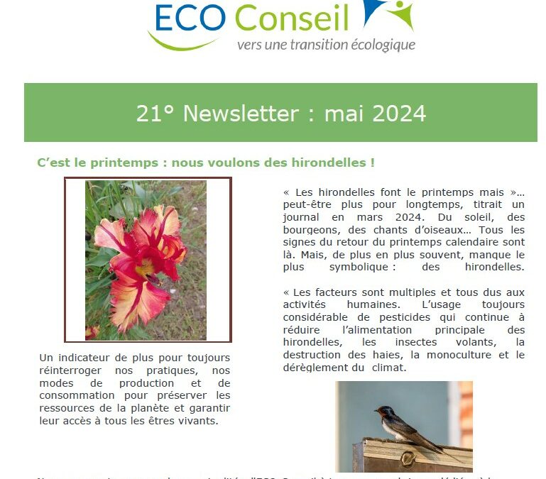 Parution de notre 21° newsletter | ECO-Conseil