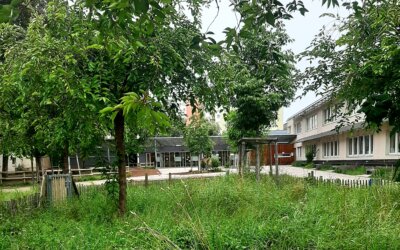 Enquête sur la perception de la nature dans les cours d&rsquo;école : entretien avec Véronique PHILIPPOT, ethnobiologiste.