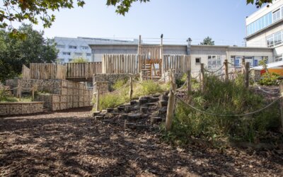 Quelle place pour la biodiversité dans les cours d&rsquo;école ? Retour sur le projet COOLSCHOOLS.
