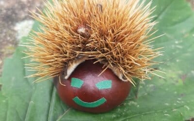 C&rsquo;est l&rsquo;automne, le moment de réaliser toutes sortes de bricolages nature !