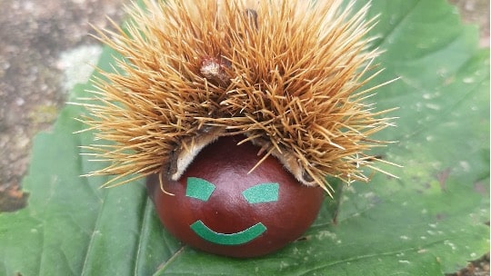 Bricolage Cours Oasis