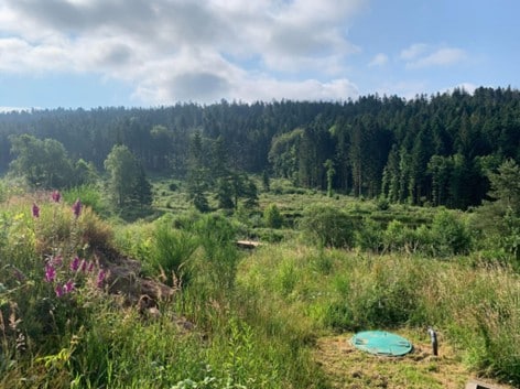 Forêt et pâtures à la Vigotte