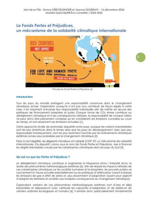 Article 4_Fonds Pertes et préjudices