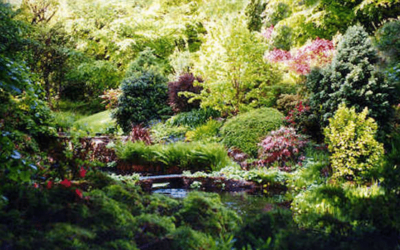 Jardin-forêt : une pratique ancestrale pour un avenir durable ?