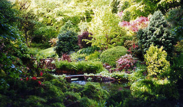 Jardin-forêt : une pratique ancestrale pour un avenir durable ?