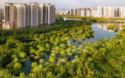 La ville éponge : quand l&rsquo;urbanisme s&rsquo;inspire de la nature  !