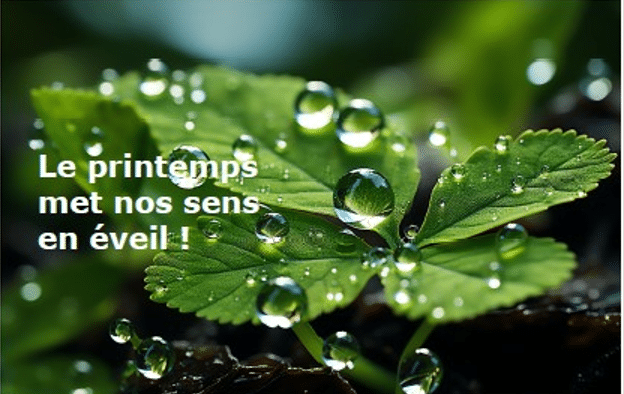 Le printemps et la sortie de la newsletter24 d'ECO-Conseil