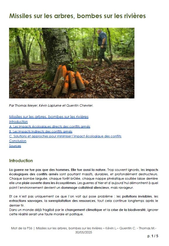 Article P36 sur les impacts de la guerre sur l'environnement