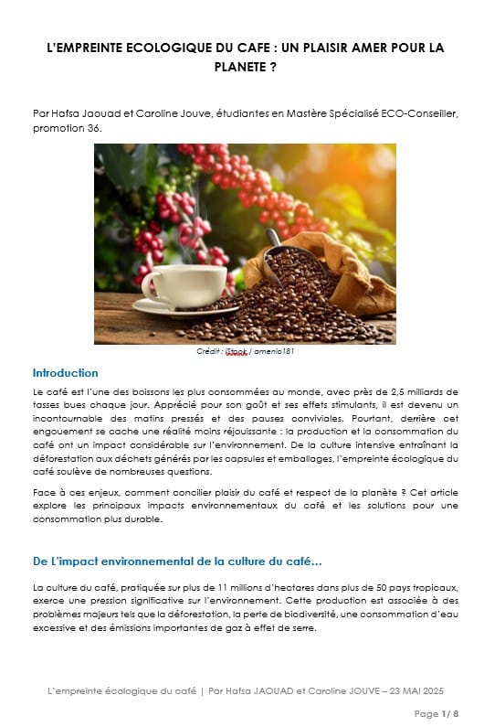 Article P36 sur l'empreinte environnemental du café