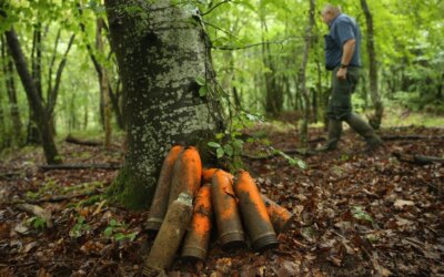 Missiles sur les arbres, bombes sur les rivières | Mot promo 36