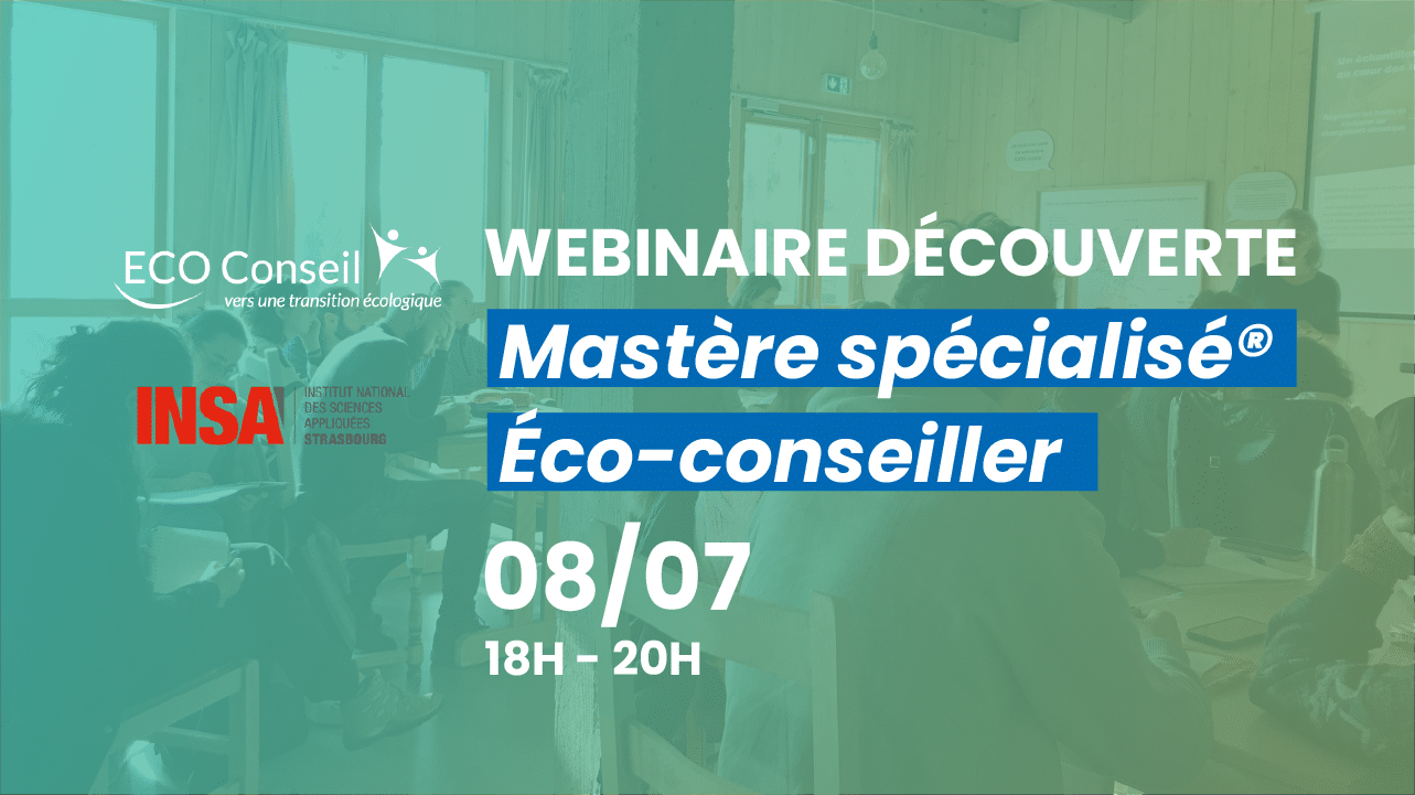Plan de travail 10