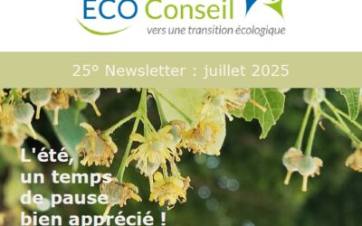La 25ème newsletter d’ECO-Conseil est publiée !