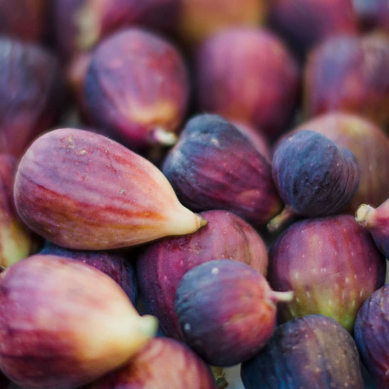 Figues _ Quinzaine JP 2025