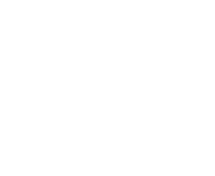 Logo de Eco Conseil sans le pictogramme