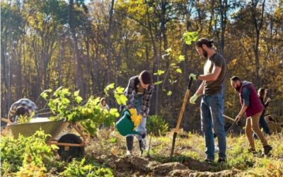 Guide : Les jardins partagés & collectifs de Strasbourg