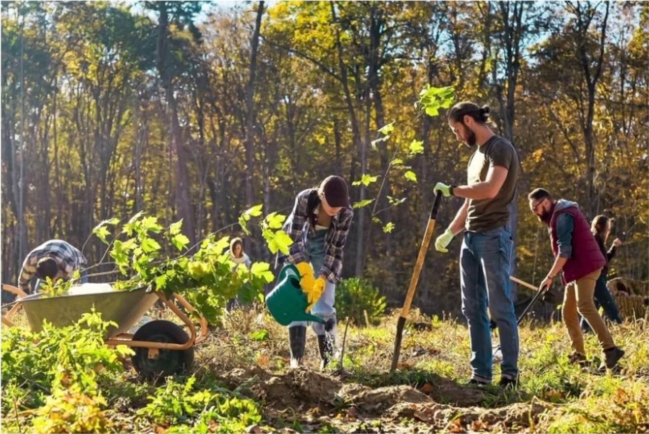 Photo d'une équipe de jardiniers solidaires