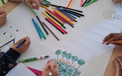 Les Cours OASIS de Strasbourg